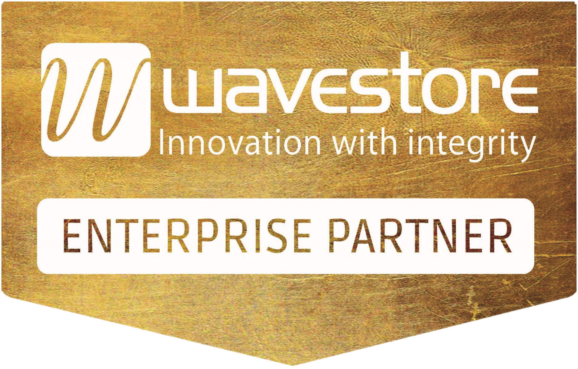 Wavestore Enterprise Partner